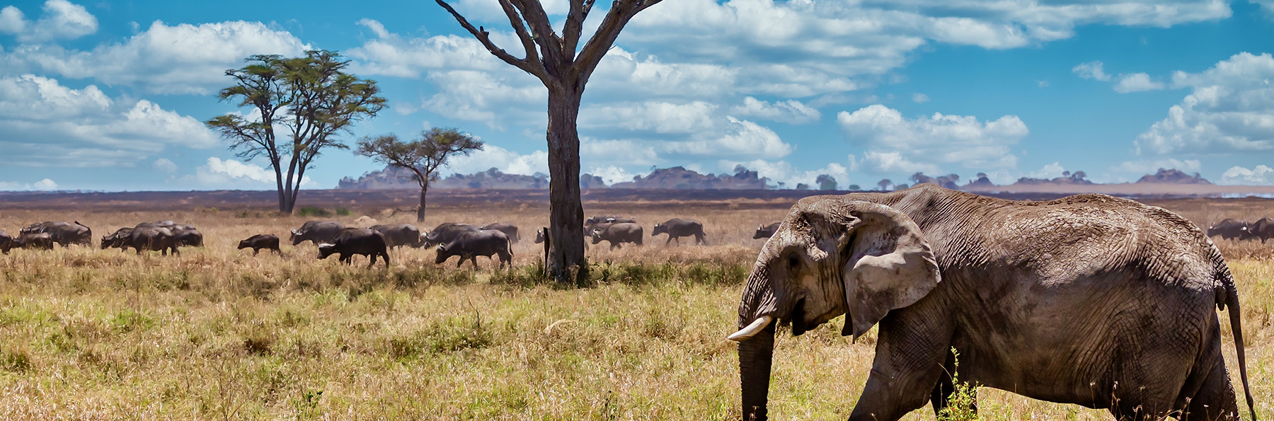 Laitravel - Asistencia especializada en viajes exclusivos - EL VIAJE DE TU VIDA