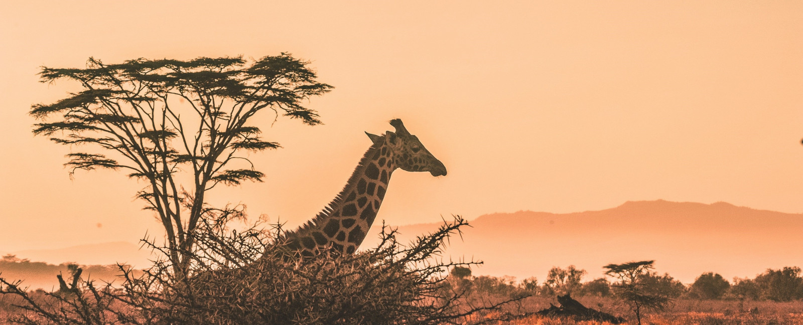 Laitravel - Assistència especialitzada en viatges exclusius - EL VIATGE DE LA TEVA VIDA