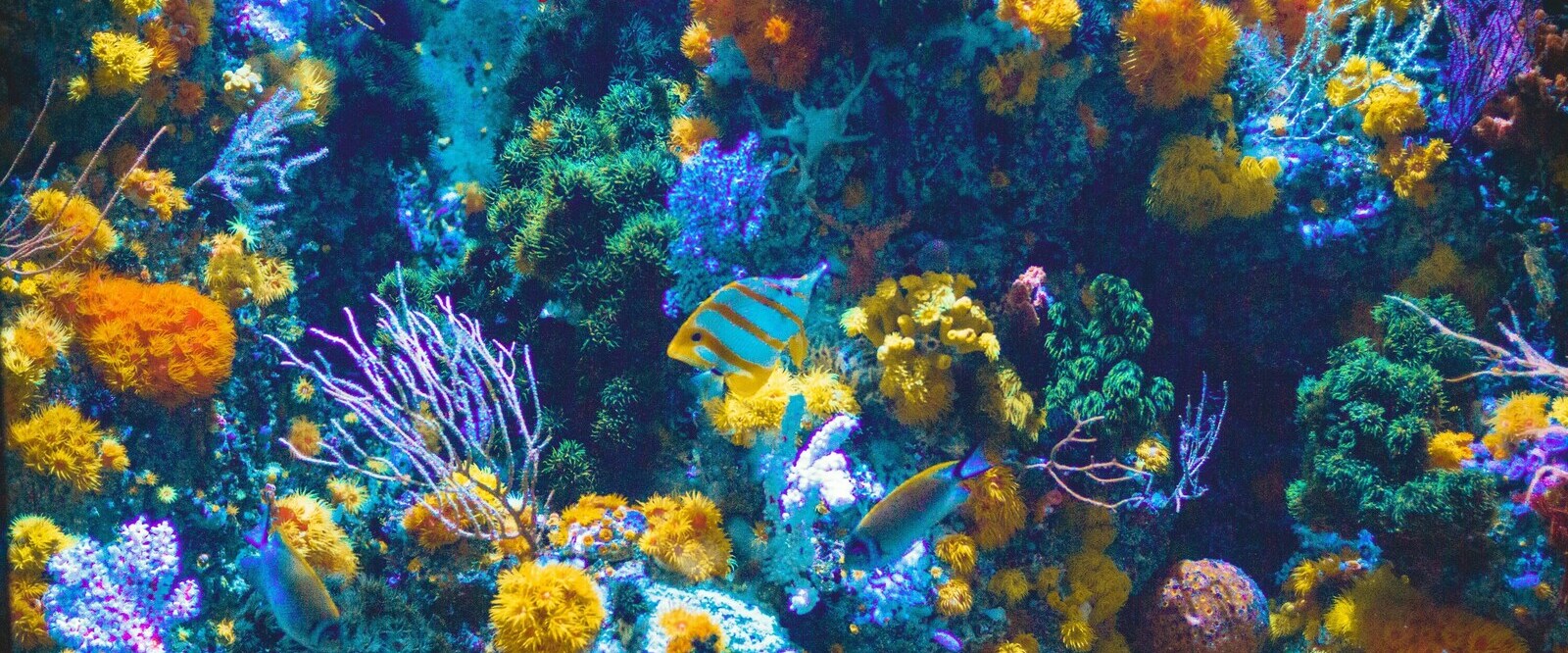 Laitravel - Assistència especialitzada en viatges exclusius - EL VIATGE DE LA TEVA VIDA