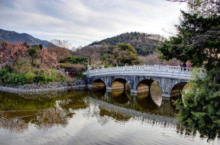 COLORES DE COREA Y JEJU
