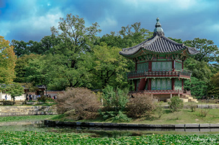 COLORES DE COREA Y JEJU