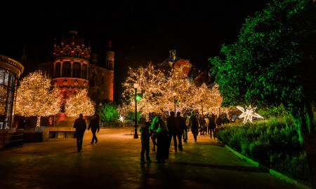 ELS LLUMS DE SANT PAU – CHRISTMAS GARDEN