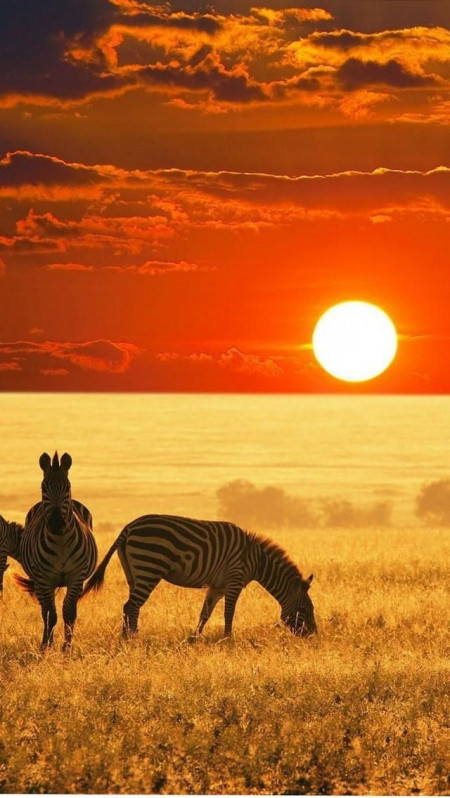 ESENCIA DE SUDÁFRICA