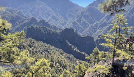 La Palma · Vol + Hotel