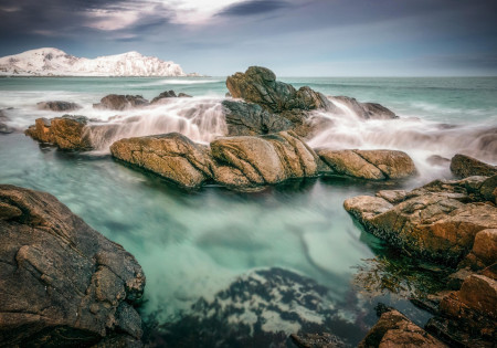 Magia Ártica