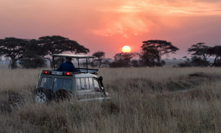 SAFARI TANZANIA ESPECIAL FIN DE AÑO