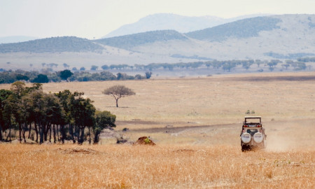 SAFARI TANZANIA ESPECIAL FIN DE AÑO